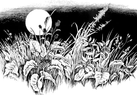 Трава Графика