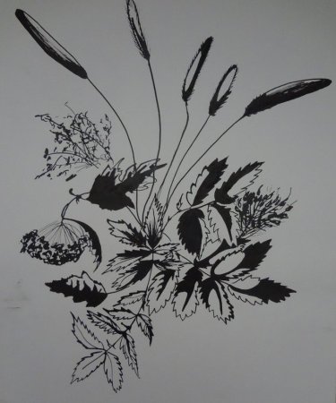 Цветы тушью и пером