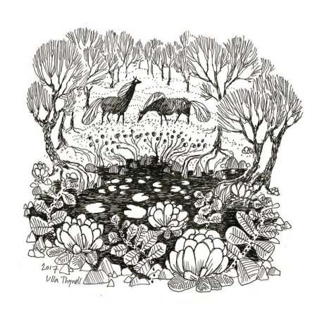 Графические рисунки тушью и пером