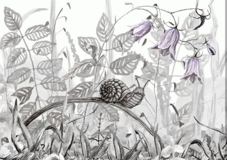 Композиция с насекомыми