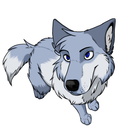 Волк раскраска для детей