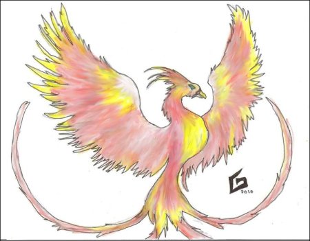 Птица Феникс для срисовки