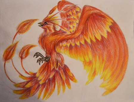 Птица Феникс для детей