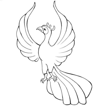 Жар птица раскраска