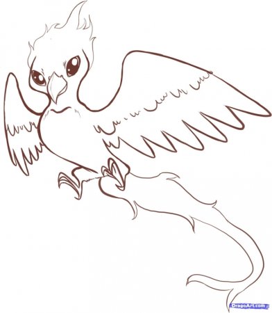 Феникс рисунок для срисовки