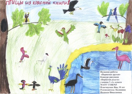 Подписать рисунок на конкурс