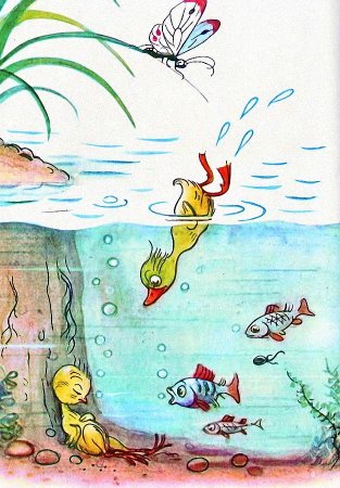 Сутеев иллюстрации