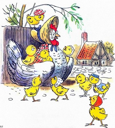 Чуковский курица красавица