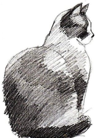 Животное в технике штриха