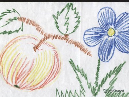 Рисование карандашами в старшей группе