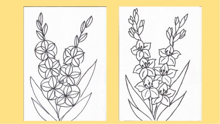 Гладиолус раскраска