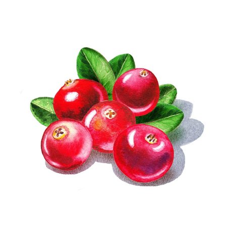 Нарисовать клюкву
