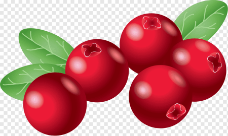 Клюква для детей