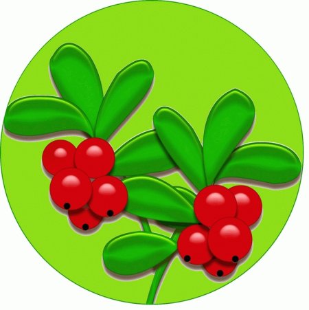 Эмблема группы Брусничка