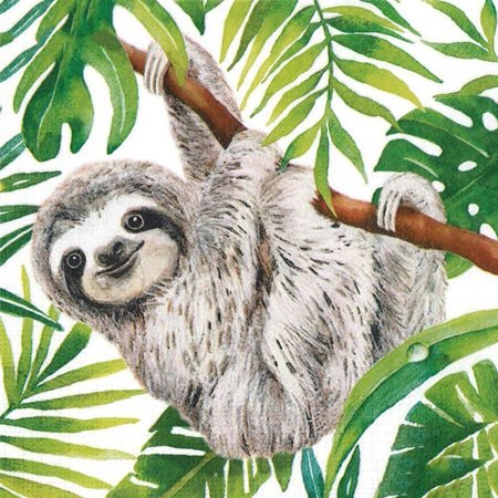 Ленивец иллюстрация