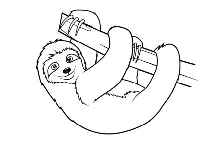 Ленивец раскраска для детей