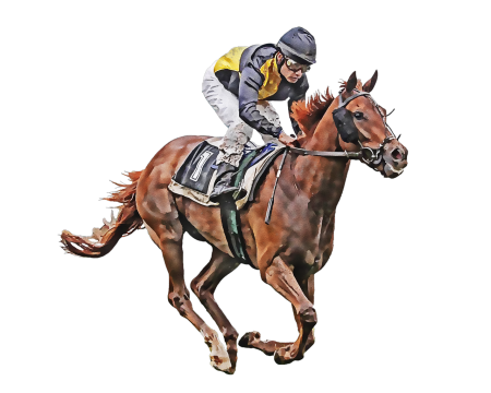 Ирина Казариди Polo Horses