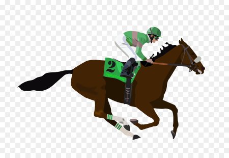 Жокей на лошади вектор