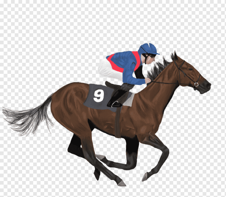 Раскраска человек на лошади