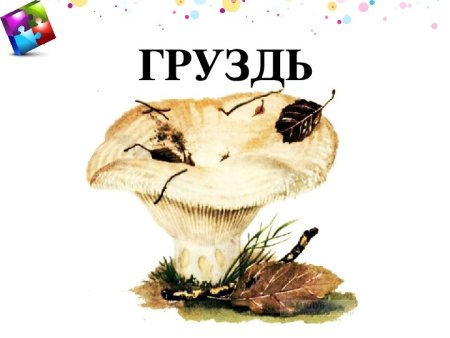 Груздь на прозрачном фоне