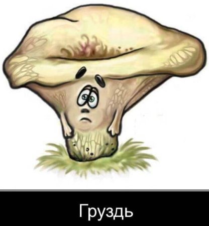 Гриб груздь раскраска