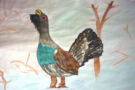 Нарисовать глухаря