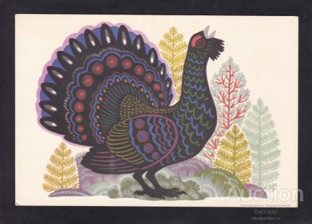 Терентий тетерев птица