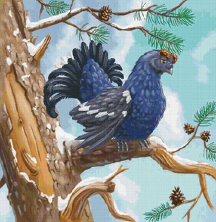 Глухарь рисунок