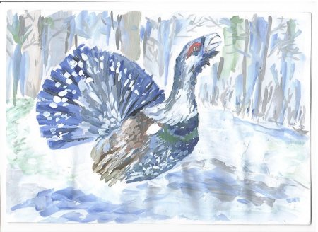 Глухарь мультяшный