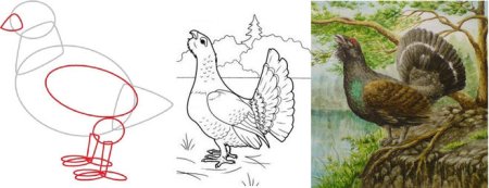 Глухарь. Гравюра Виктора Вахлюева