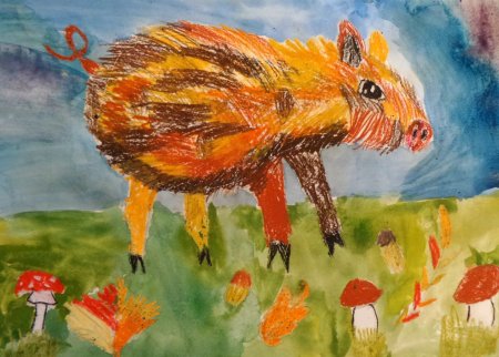 Животные рисунки для детей