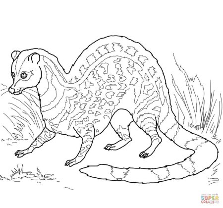 Млекопитающие животные раскраска