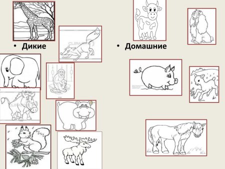 Дикие и домашние животные задания