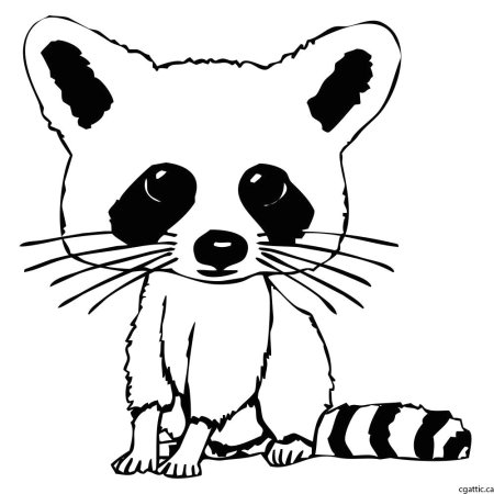 Енот рисунок для детей