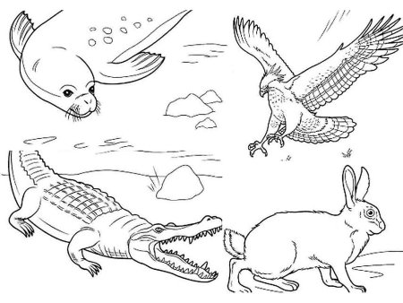 Рисунки разных животных