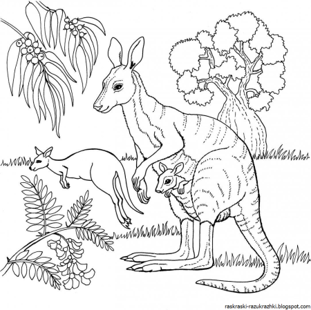 Раскраски животных и зверей