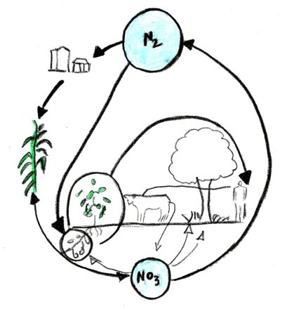 Лямбда и его жизненный цикл рисунок