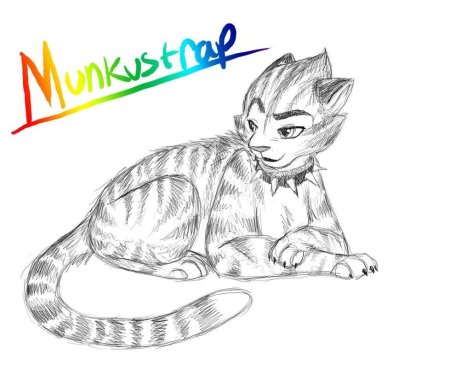 Мюзикл кошки персонажи Джемайма