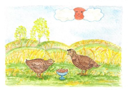 Чарушин Перепелка иллюстрации