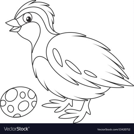 Нарисовать перепела