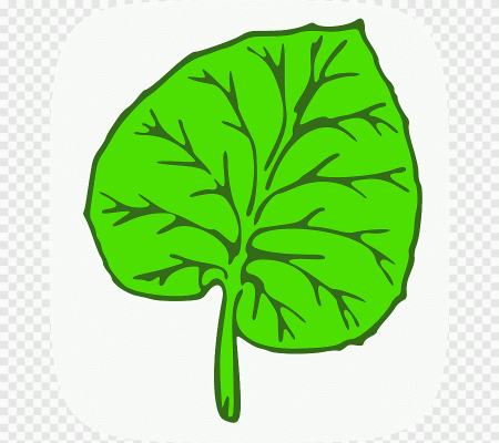 Зеленые листья нарисованные