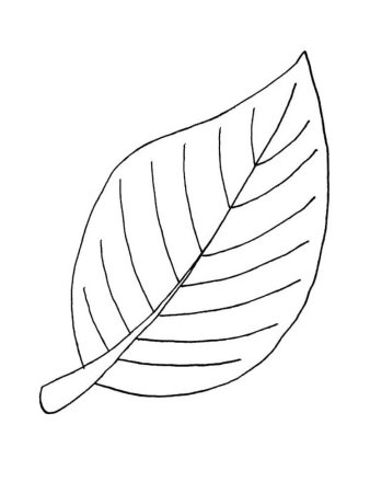 Листья деревьев раскраска