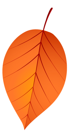Листок дерева