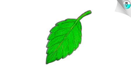 Маленькие листочки