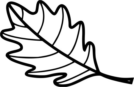 Листочки черно белые