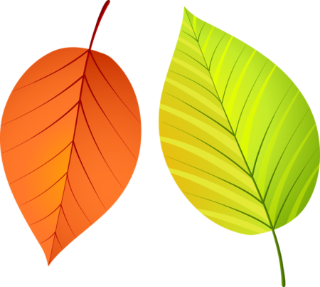 Цветной лист