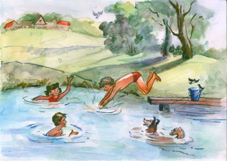 Летние впечатления