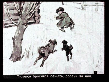 Иллюстрации к рассказу Филиппок л Толстого