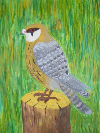 Детские рисунки птиц