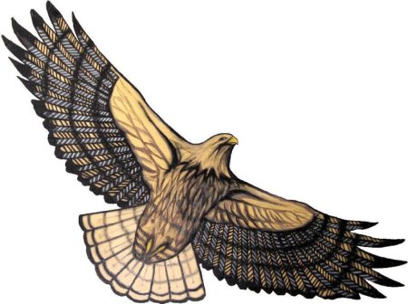 Сокол векторное изображение